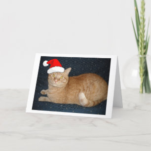 Christmas Orange Tabby Cat Feiertagskarte