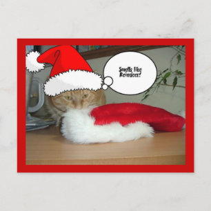 Christmas Orange Tabby Cat Feiertagspostkarte