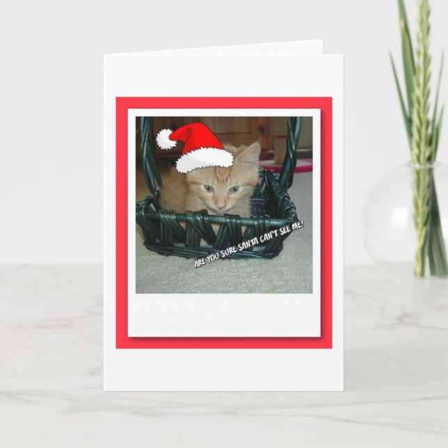Christmas Orange Tabby Kitten Feiertagskarte (Vorderseite)