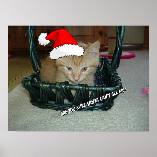 Christmas Orange Tabby Kitten Poster (Vorne)