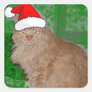 Christmas Orange Tabby Kitten Quadratischer Aufkleber