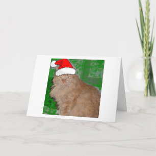 Christmas Orange Tabby Kitty Cat Feiertagskarte