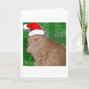 Christmas Orange Tabby Kitty Cat Feiertagskarte