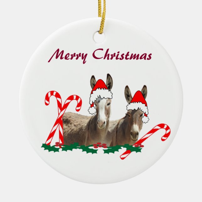 Christmas ornament, Wildlife, Donkeys Keramik Ornament (Vorne)