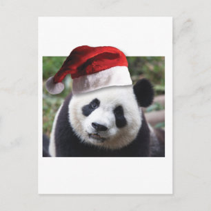 Christmas Panda Bear Feiertagspostkarte