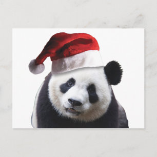 Christmas Panda Bear Feiertagspostkarte