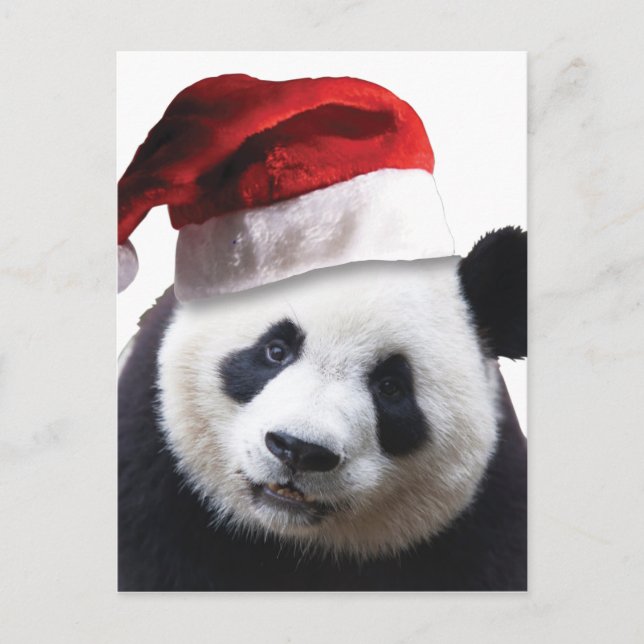 Christmas Panda Bear Feiertagspostkarte (Vorderseite)