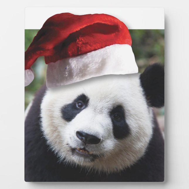 Christmas Panda Bear Fotoplatte (Vorderseite)