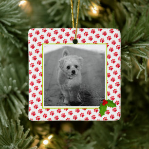 Christmas Paw druckt PET-FOTO Bester Hund je NAME Keramikornament