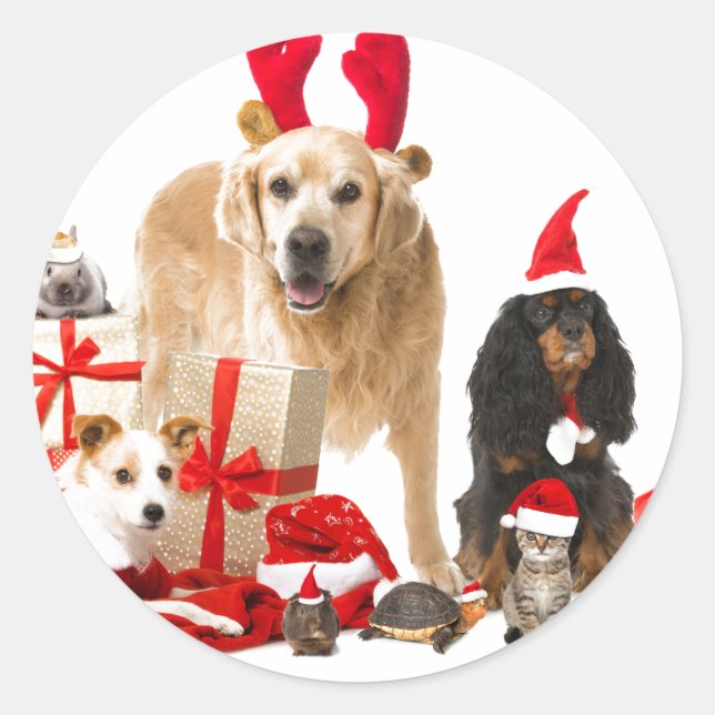 CHRISTMAS PETS STICKER (Vorderseite)