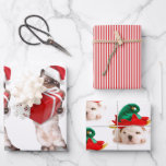CHRISTMAS PETS Wrapping Paper Flat Sheet Set 3 Geschenkpapier Set<br><div class="desc">CUSTOMIZABLECHRISTMAS PETTET GIFT-WRAPPING-SHEETS</div>