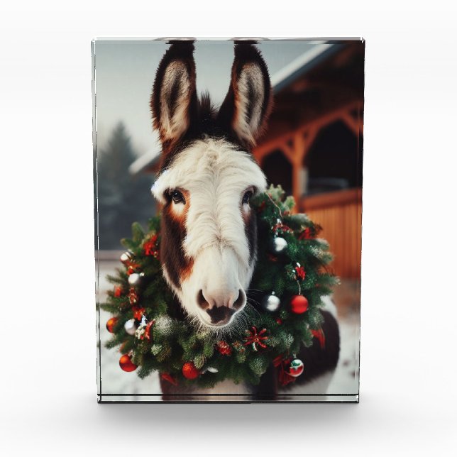 Christmas Pinto Donkey Fotoblock (Vorderseite)