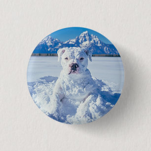 Christmas Pitbull Dog Snowman Button