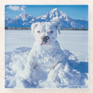 Christmas Pitbull Dog Snowman Glasuntersetzer