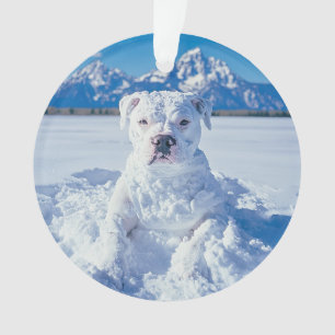Christmas Pitbull Dog Snowman Ornament