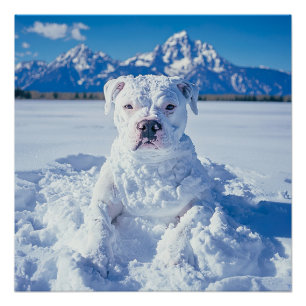 Christmas Pitbull Dog Snowman Poster
