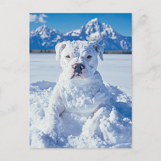 Christmas Pitbull Dog Snowman Postkarte (Vorderseite)