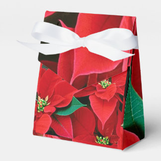 Christmas Poinsettia Favor Box Geschenkschachtel
