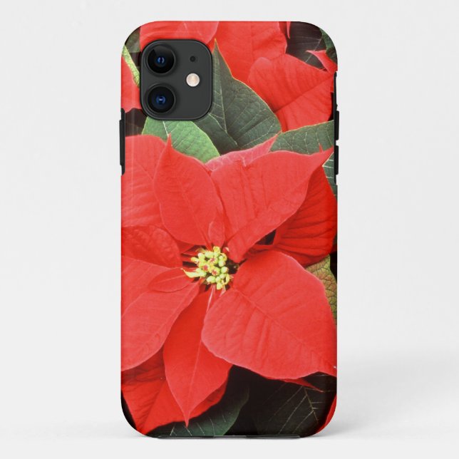 Christmas Pointsettia iPhone 5 Fall Case-Mate iPhone Hülle (Rückseite)