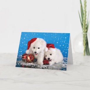 Christmas Puppies White Pomeranian Spitz Feiertagskarte