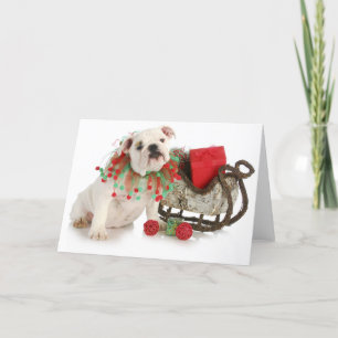 Christmas Puppy - English Bulldog Welppy Sitting Feiertagskarte