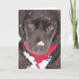 Christmas Puppy Snow Card Feiertagskarte
