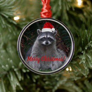 Christmas Raccoon in Santa Hat Photo Silbernes Ornament