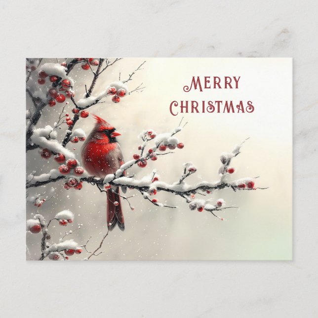 Christmas Red Cardinal Holiday Postkarte (Vorderseite)