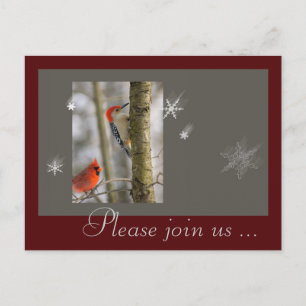 Christmas Red Gray Birds Kardinal Wood Pecker Feiertagspostkarte