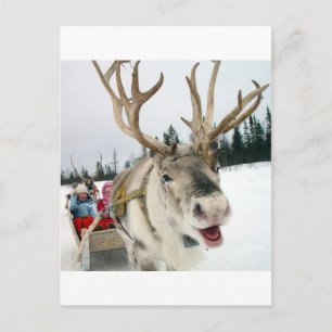 Christmas Reindeer Feiertagspostkarte