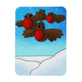 Christmas Robin Birds Magnet