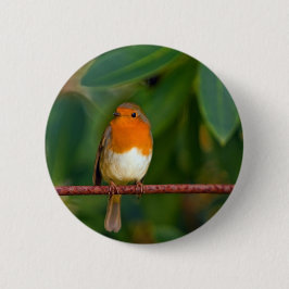 Christmas Robin Button
