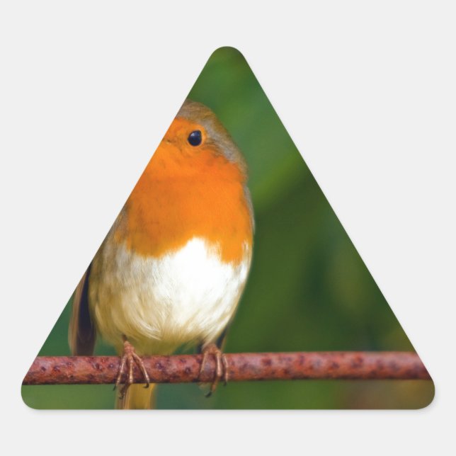 Christmas Robin Dreieckiger Aufkleber (Vorderseite)