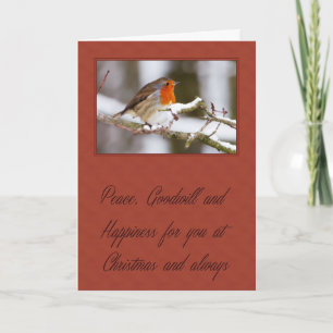 Christmas Robin Feiertagskarte