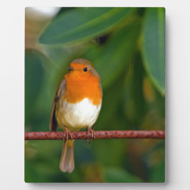 Christmas Robin Fotoplatte