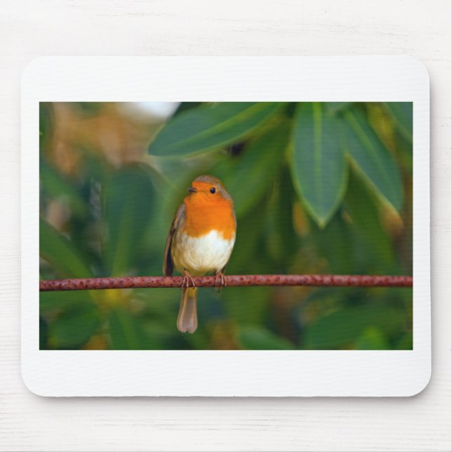 Christmas Robin Mousepad (Vorne)