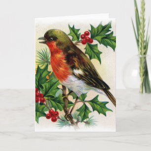 Christmas Robin Vintag Illustration Feiertagskarte
