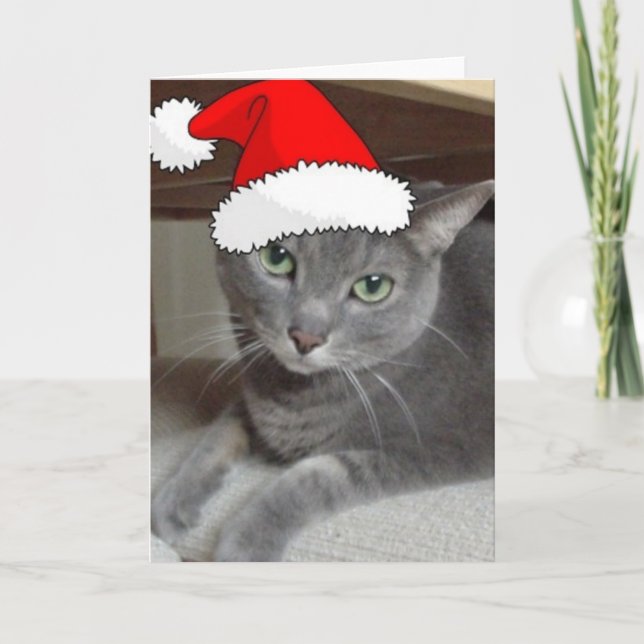 Christmas Russian Blue Gray Cat Feiertagskarte (Vorderseite)