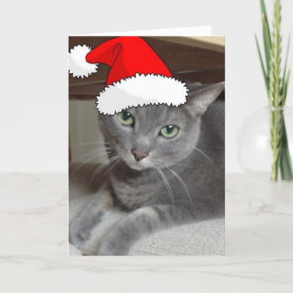 Christmas Russian Blue Gray Cat Feiertagskarte