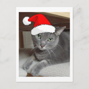 Christmas Russian Blue Gray Cat Feiertagspostkarte