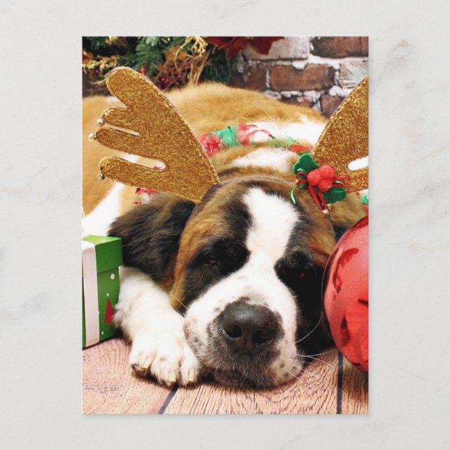 Christmas - Saint Bernard - Blue Feiertagspostkarte (Vorderseite)