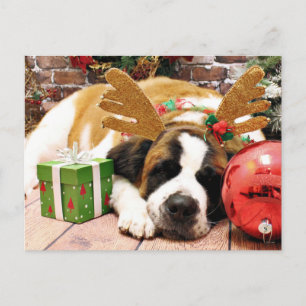 Christmas - Saint Bernard - Blue Feiertagspostkarte