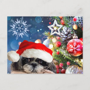 Christmas Santa Shih Tzu Postcard Feiertagspostkarte
