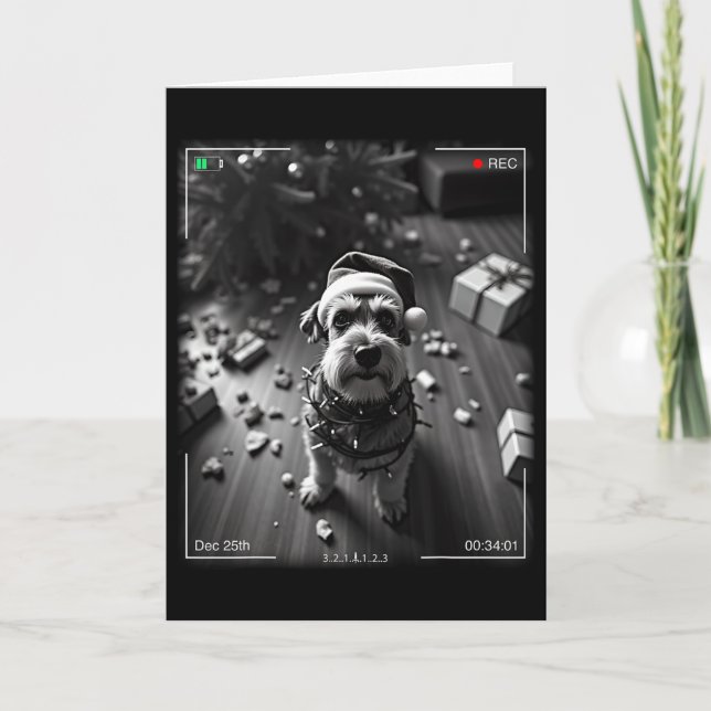Christmas Schnauzer Caught On Camera  Karte (Vorderseite)