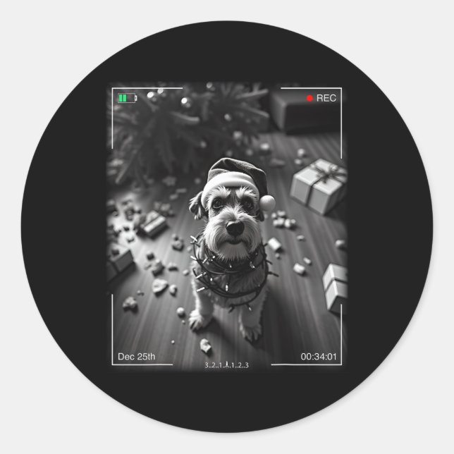 Christmas Schnauzer Caught On Camera  Runder Aufkleber (Vorderseite)