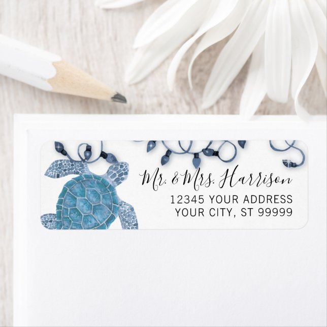 Christmas Sea Turtle Beach Blue Lights Script (Insitu)