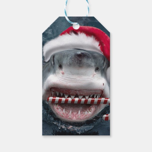 Christmas Shark Geschenkanhänger (Vorderseite)