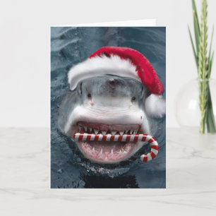 Christmas Shark Karte