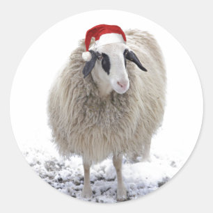 CHRISTMAS SHEEP UMSCHLAG AUFKLEBER ROUND STICKER