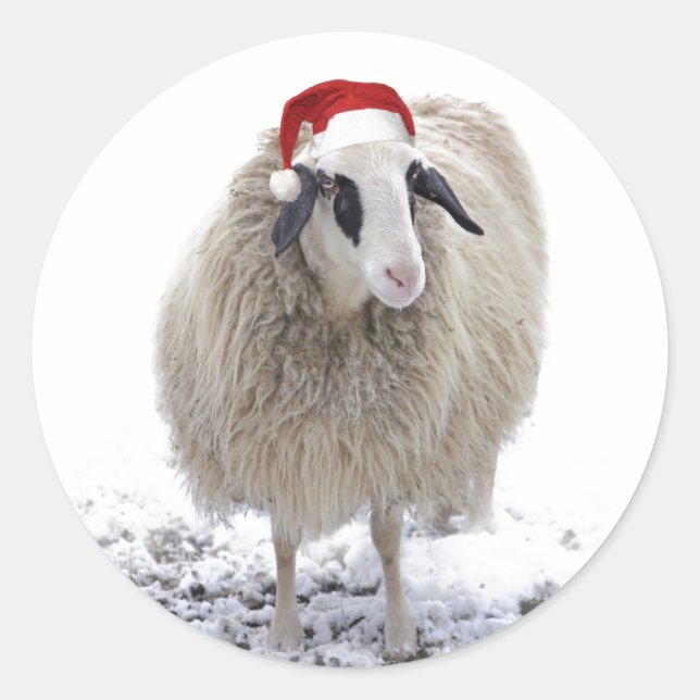 CHRISTMAS SHEEP UMSCHLAG AUFKLEBER ROUND STICKER (Vorderseite)
